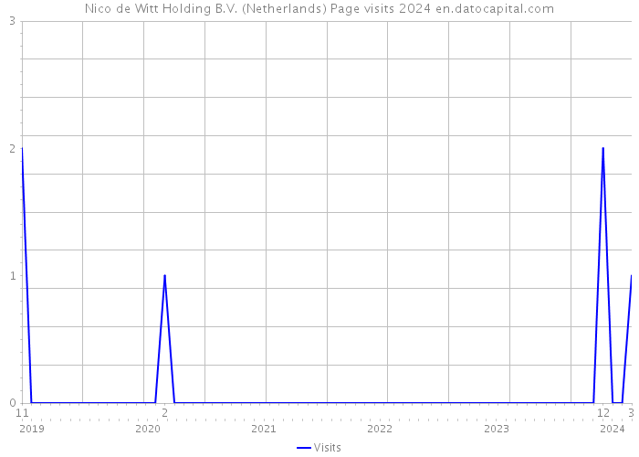 Nico de Witt Holding B.V. (Netherlands) Page visits 2024 