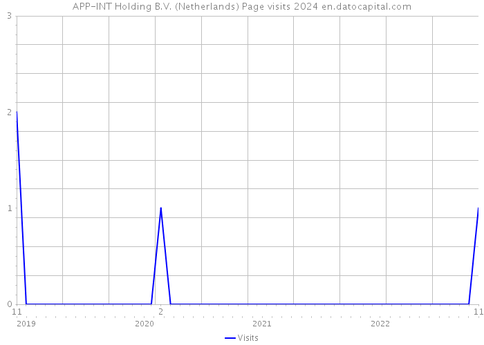 APP-INT Holding B.V. (Netherlands) Page visits 2024 
