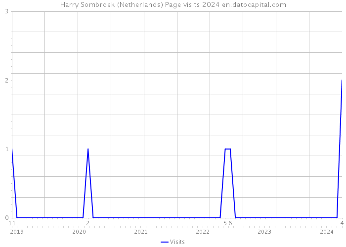 Harry Sombroek (Netherlands) Page visits 2024 