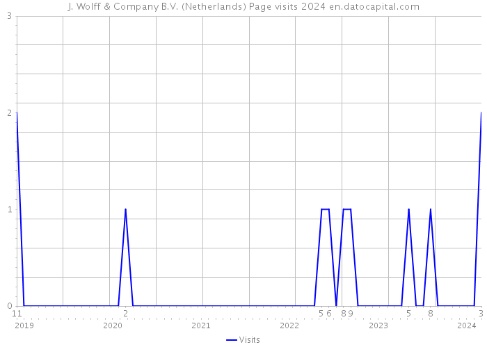 J. Wolff & Company B.V. (Netherlands) Page visits 2024 
