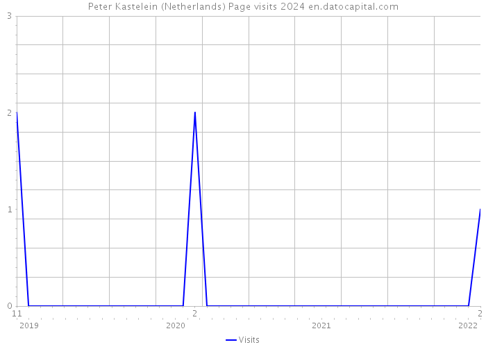Peter Kastelein (Netherlands) Page visits 2024 