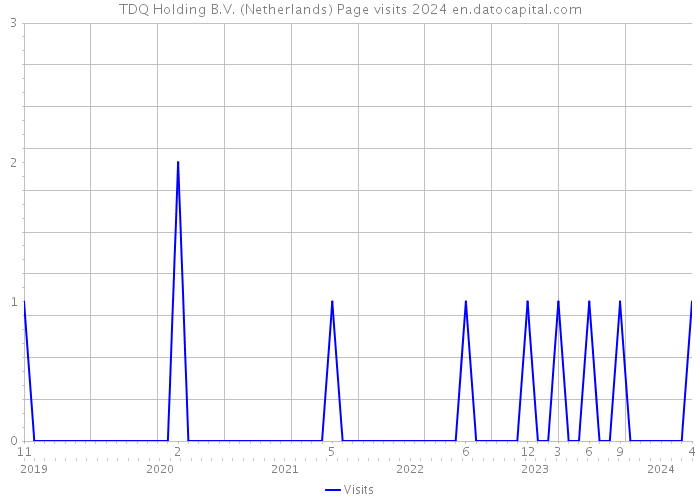 TDQ Holding B.V. (Netherlands) Page visits 2024 