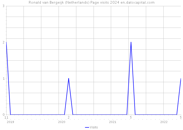Ronald van Bergeijk (Netherlands) Page visits 2024 