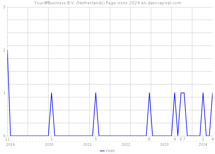 Your@Business B.V. (Netherlands) Page visits 2024 