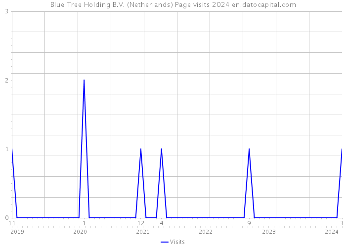 Blue Tree Holding B.V. (Netherlands) Page visits 2024 