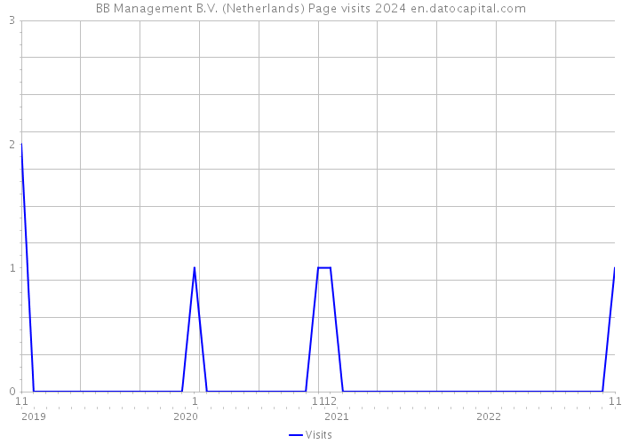 BB Management B.V. (Netherlands) Page visits 2024 