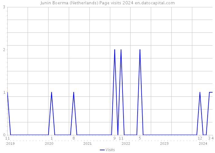 Junin Boerma (Netherlands) Page visits 2024 