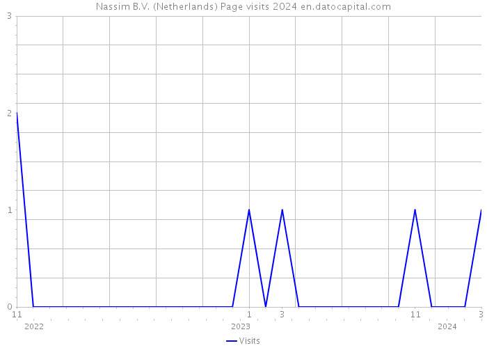 Nassim B.V. (Netherlands) Page visits 2024 