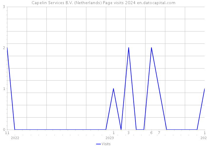 Capelin Services B.V. (Netherlands) Page visits 2024 