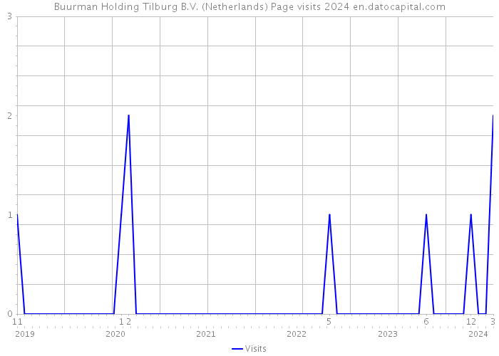 Buurman Holding Tilburg B.V. (Netherlands) Page visits 2024 