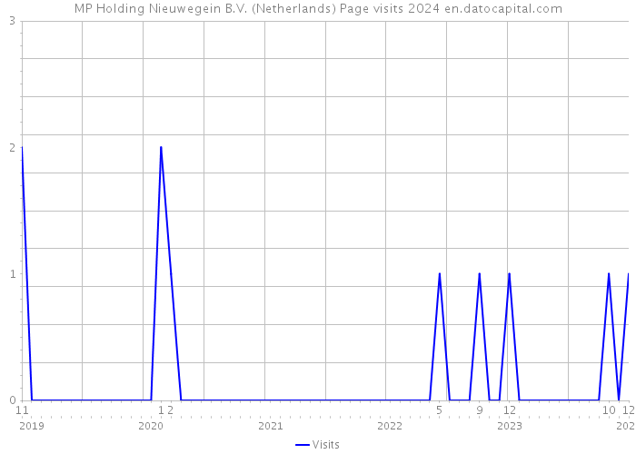 MP Holding Nieuwegein B.V. (Netherlands) Page visits 2024 