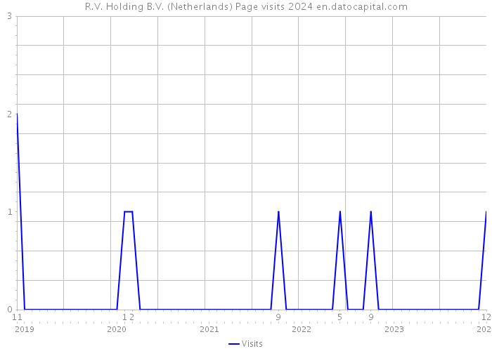 R.V. Holding B.V. (Netherlands) Page visits 2024 