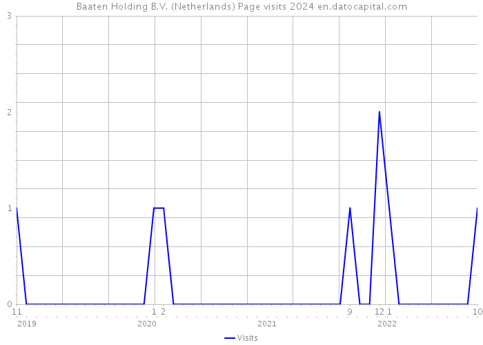 Baaten Holding B.V. (Netherlands) Page visits 2024 