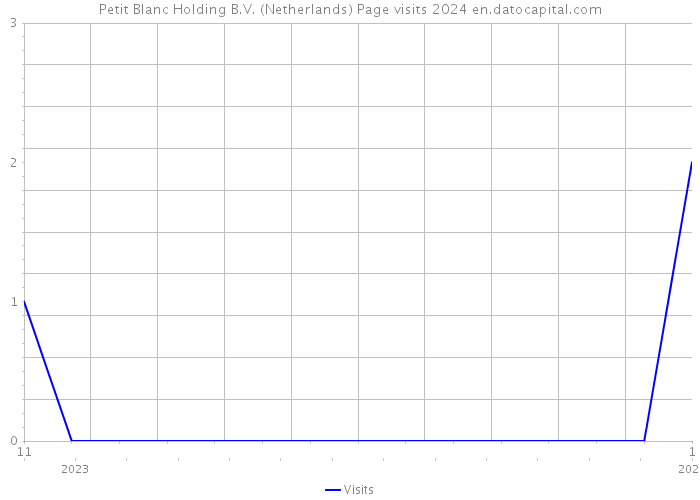 Petit Blanc Holding B.V. (Netherlands) Page visits 2024 