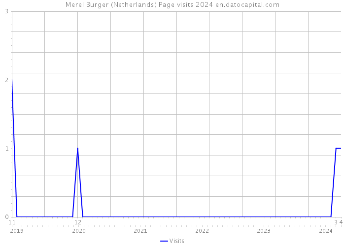 Merel Burger (Netherlands) Page visits 2024 