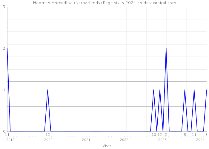 Hooman Ahmadloo (Netherlands) Page visits 2024 