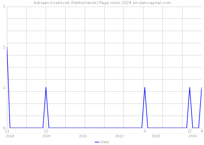 Adriaan Koekkoek (Netherlands) Page visits 2024 