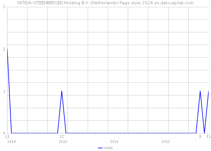 NITIDA-STEENBERGEN Holding B.V. (Netherlands) Page visits 2024 