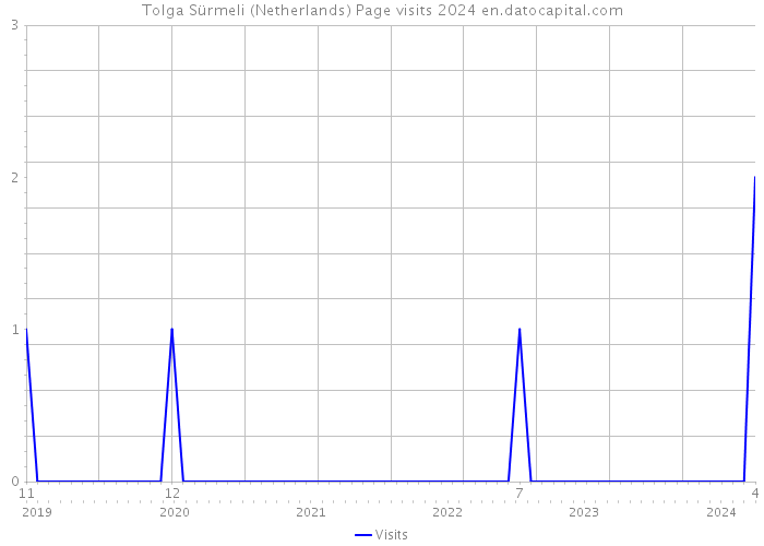 Tolga Sürmeli (Netherlands) Page visits 2024 