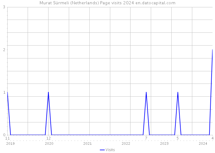 Murat Sürmeli (Netherlands) Page visits 2024 