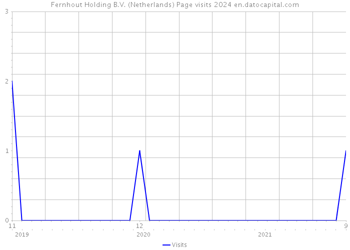Fernhout Holding B.V. (Netherlands) Page visits 2024 