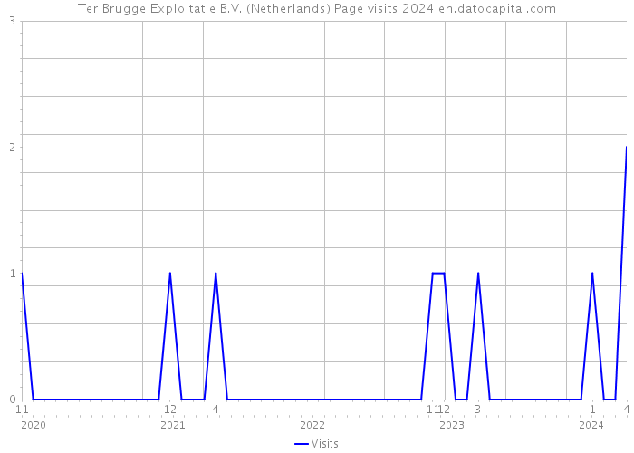 Ter Brugge Exploitatie B.V. (Netherlands) Page visits 2024 