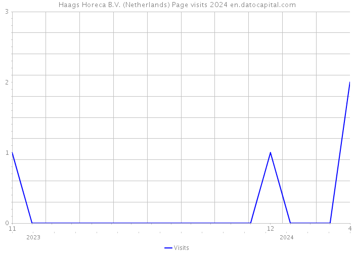 Haags Horeca B.V. (Netherlands) Page visits 2024 