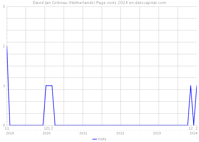 David Jan Gribnau (Netherlands) Page visits 2024 