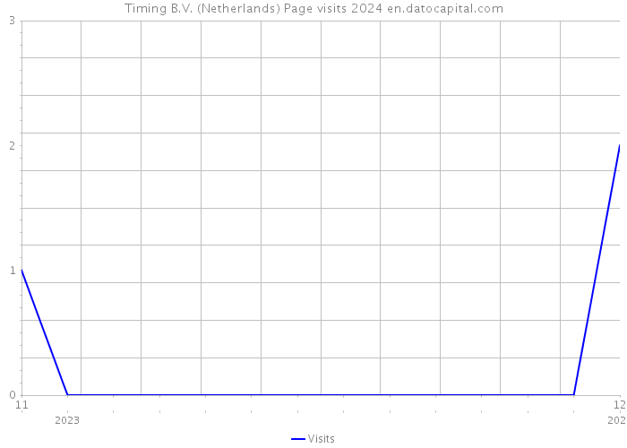 Timing B.V. (Netherlands) Page visits 2024 
