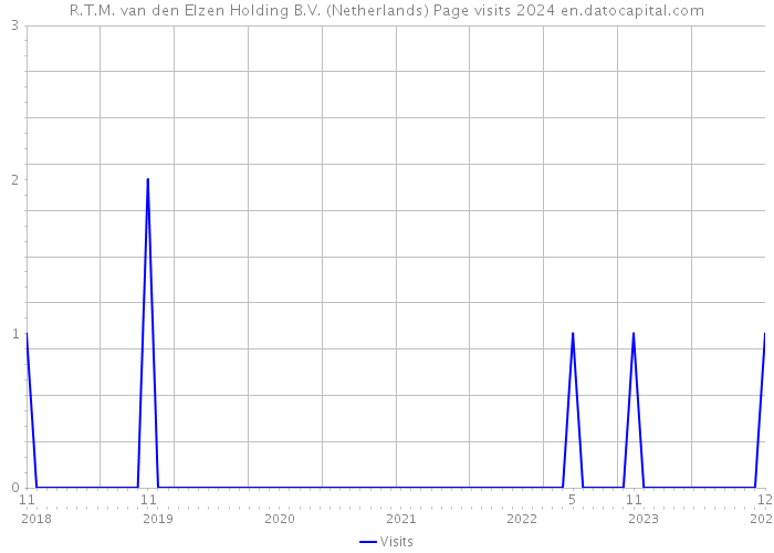 R.T.M. van den Elzen Holding B.V. (Netherlands) Page visits 2024 
