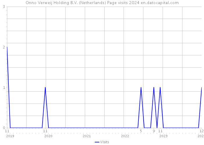 Onno Verweij Holding B.V. (Netherlands) Page visits 2024 