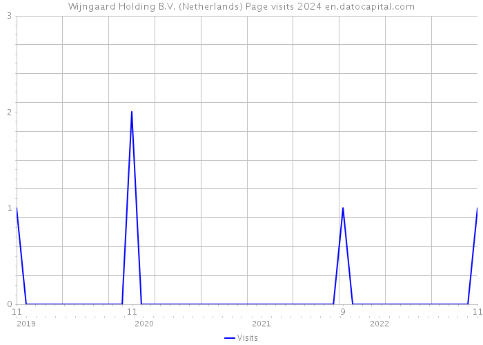 Wijngaard Holding B.V. (Netherlands) Page visits 2024 