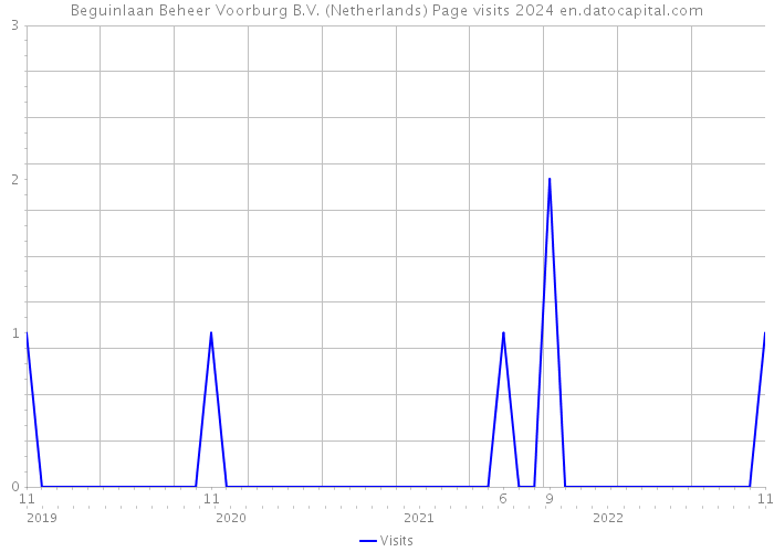 Beguinlaan Beheer Voorburg B.V. (Netherlands) Page visits 2024 
