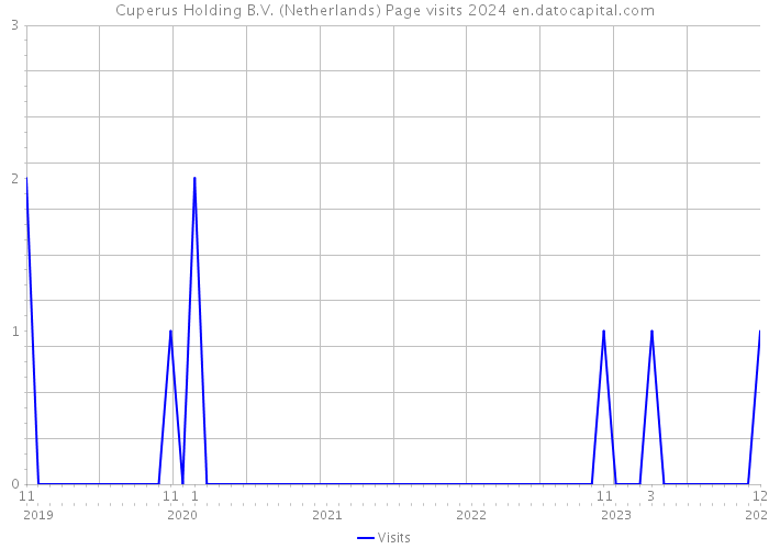 Cuperus Holding B.V. (Netherlands) Page visits 2024 
