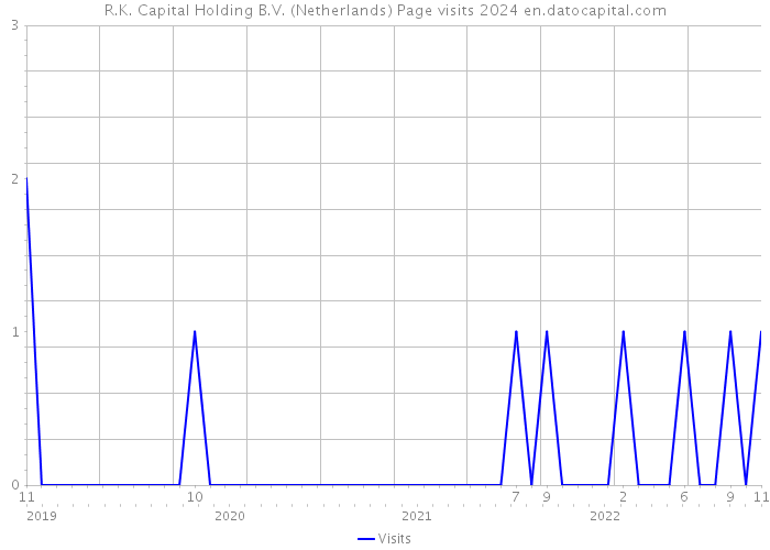 R.K. Capital Holding B.V. (Netherlands) Page visits 2024 