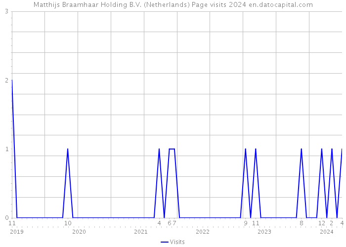 Matthijs Braamhaar Holding B.V. (Netherlands) Page visits 2024 