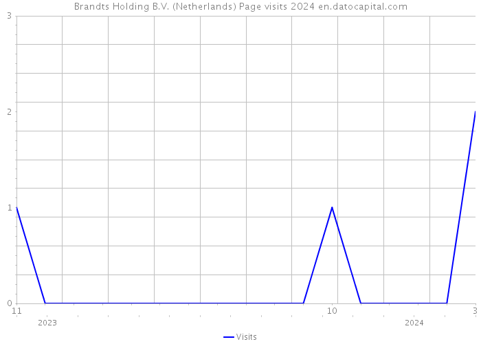 Brandts Holding B.V. (Netherlands) Page visits 2024 