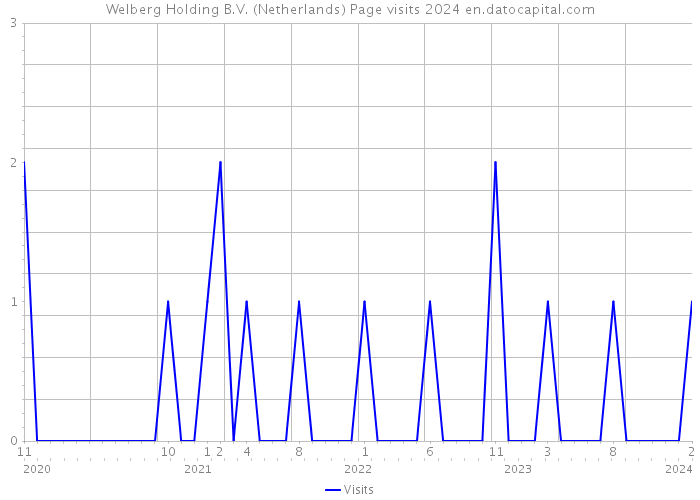 Welberg Holding B.V. (Netherlands) Page visits 2024 