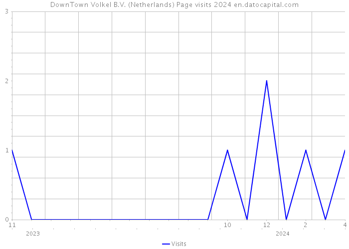 DownTown Volkel B.V. (Netherlands) Page visits 2024 