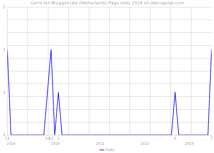 Gerrit ten Bruggencate (Netherlands) Page visits 2024 