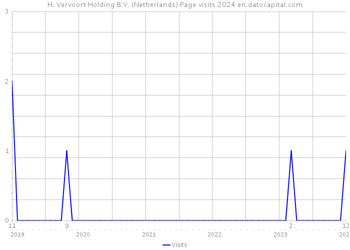 H. Vervoort Holding B.V. (Netherlands) Page visits 2024 