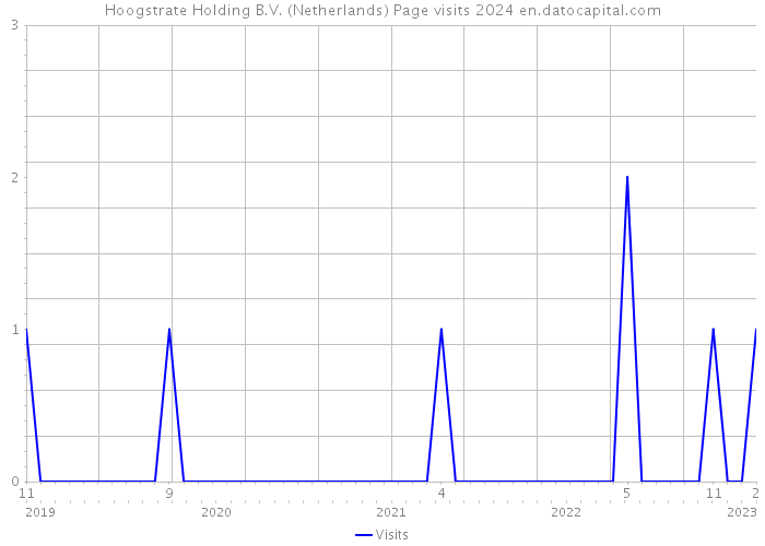 Hoogstrate Holding B.V. (Netherlands) Page visits 2024 