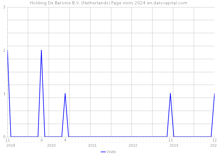 Holding De Baronie B.V. (Netherlands) Page visits 2024 