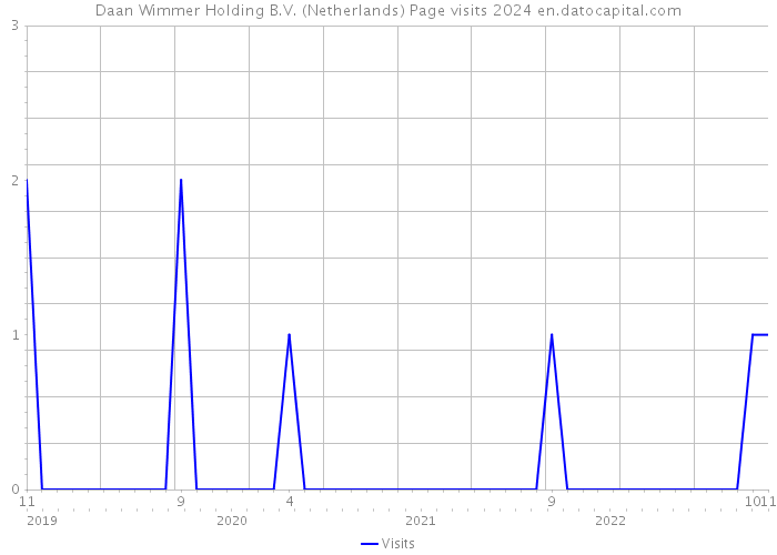 Daan Wimmer Holding B.V. (Netherlands) Page visits 2024 