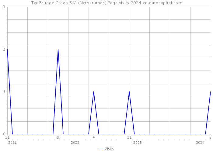 Ter Brugge Groep B.V. (Netherlands) Page visits 2024 