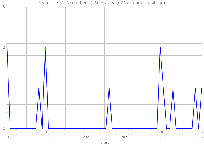 Voorst II B.V. (Netherlands) Page visits 2024 