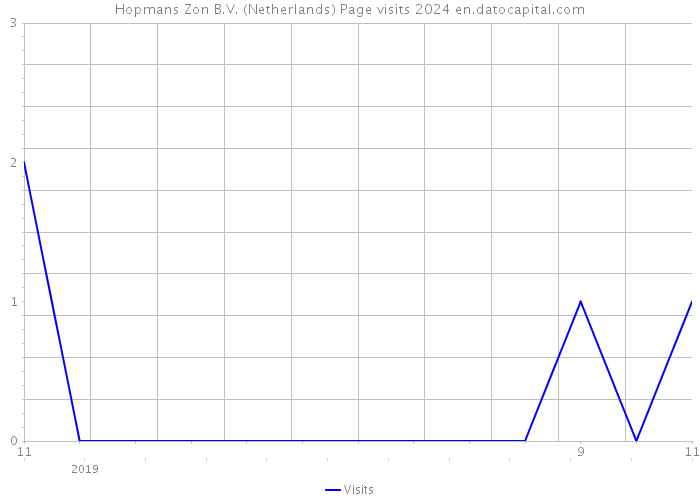 Hopmans Zon B.V. (Netherlands) Page visits 2024 