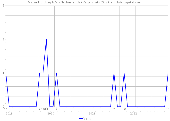Marie Holding B.V. (Netherlands) Page visits 2024 