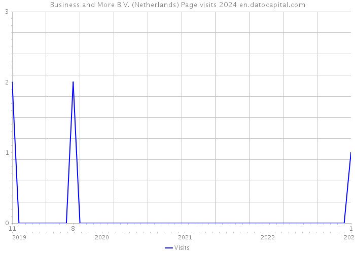 Business and More B.V. (Netherlands) Page visits 2024 