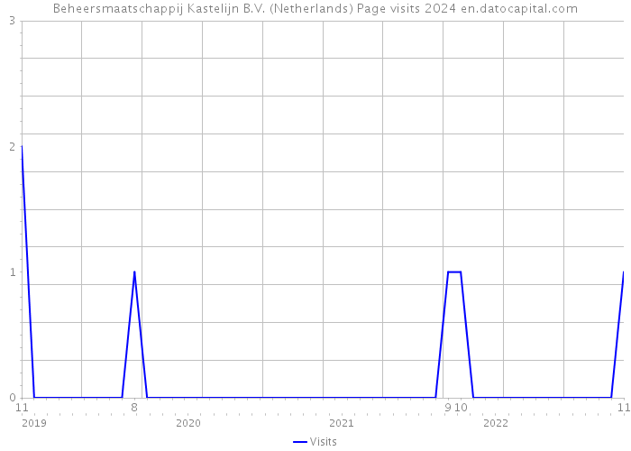 Beheersmaatschappij Kastelijn B.V. (Netherlands) Page visits 2024 
